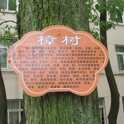 成都學(xué)校植物知識標牌制作